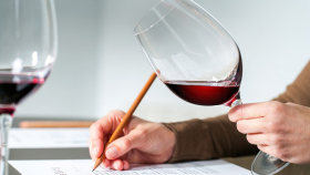 В СНГ готовят проект модельного закона «О виноградарстве и виноделии»